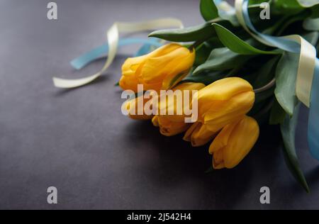 Bouquet of tulips with blue and yellow ribbon on a black background. Stock Photo