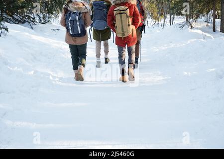 Rear view of four young people wearing backpacks walking along forest path in mountains on winter day Stock Photo