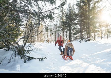 Long shot of modern young couple enjoying spending time in local forest on winter day having fun sledding Stock Photo