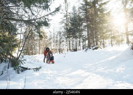 Long shot of young Black guy having fun with his girlfriend pushing her on sledge on sunny winter day Stock Photo