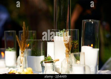 Wedding party banquet outdoors in pine forest. Dining tables decorated in boho style with candles in glass vases, white cloth, succulent flowers. Eco Stock Photo