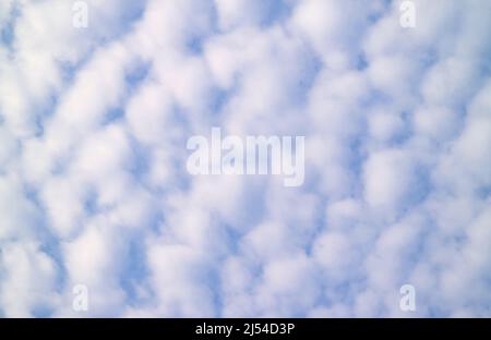 Incredible Cotton White Fluffy Altocumulus Clouds on Blue Sky Stock Photo