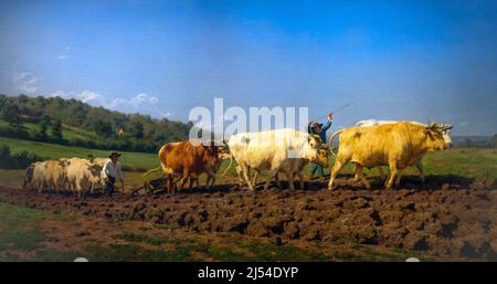 Ploughing in Nevers, The First Dressing,  Rosa Bonheur, circa 1849,  Musee D'Orsay Art Gallery, Paris, France, Europe Stock Photo