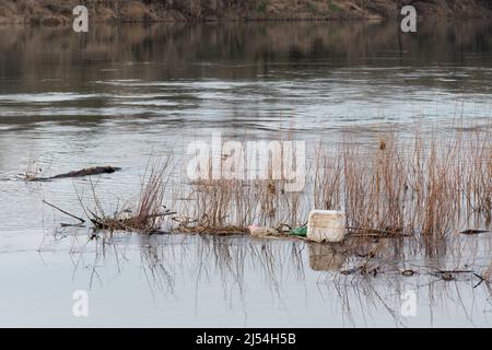 Plastic canister float on water among reed, household plastic waste environmental pollution problem Stock Photo