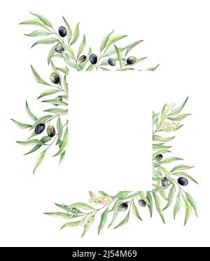 Watercolor olive wreath with green olives oil bottle wreath clipart ...