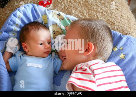 Two weeks old newborn boy infant with anti grasping gloves meets with his four years older brother Stock Photo