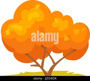 Wide autumn tree. Orange beautiful foliage on branch, vector design isolated on white background Stock Vector