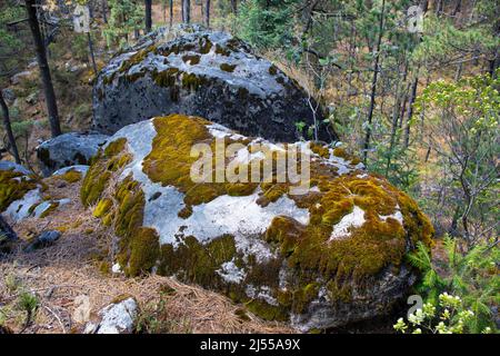 giant stones with moss and vegetation in the middle of the forest Stock Photo