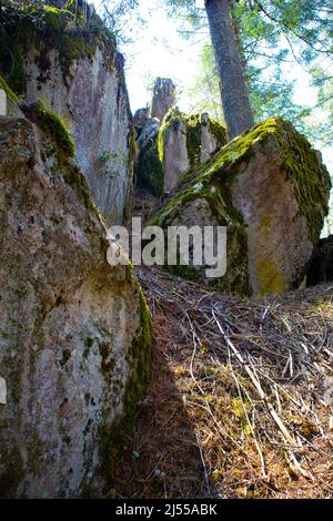 giant stones with moss and vegetation in the middle of the forest Stock Photo