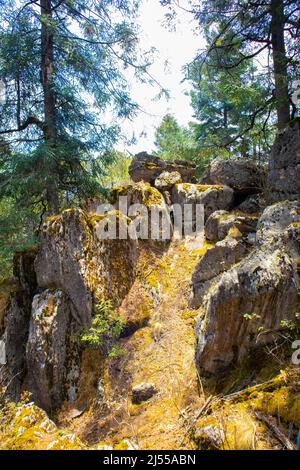 giant stones with moss and vegetation in the middle of the forest Stock Photo