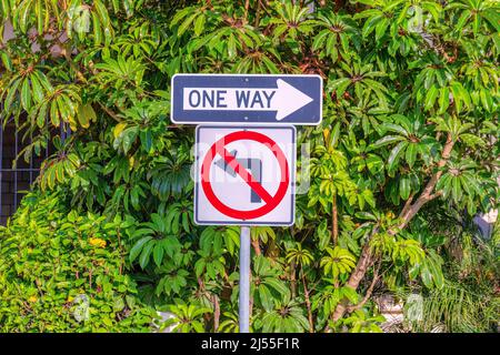 One way and no left turn signage on a post at San Clemente, California Stock Photo