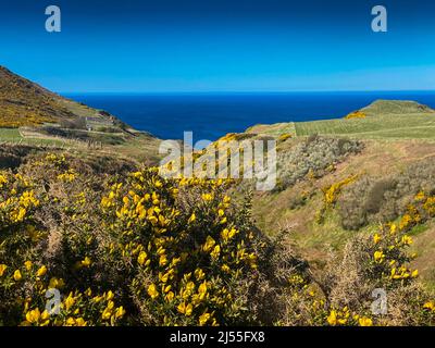 st johns graveyard aberdeenshire scotland. Stock Photo