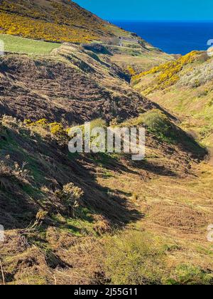 st johns graveyard aberdeenshire scotland. Stock Photo