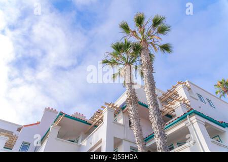Two tall palm trees at the front of an apartment building in San Clemente, California Stock Photo