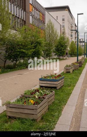 View of alignment of green trees along a path with flower beds Stock Photo
