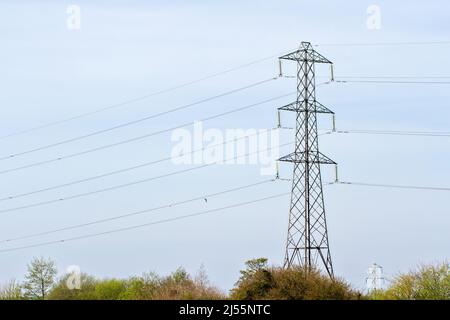Electricity pylons Stock Photo