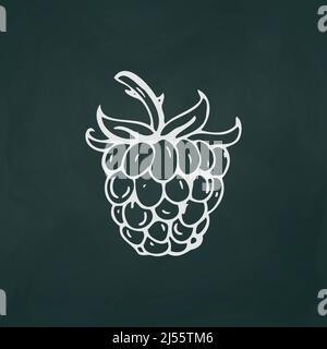 Raspberry thin white lines on a textural dark background - Vector illustration Stock Vector