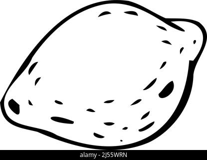 Lemon thin black lines on a white background - Vector illustration Stock Vector