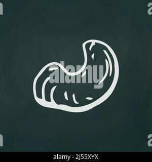 Cashew nut thin white lines on a textural dark background - Vector illustration Stock Vector