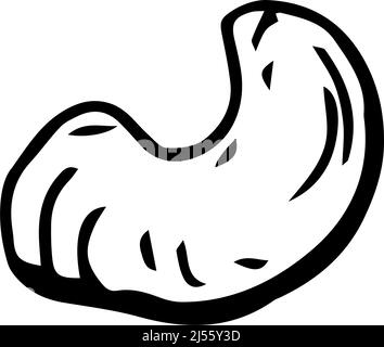 Cashew nut thin black lines on white background - Vector illustration Stock Vector
