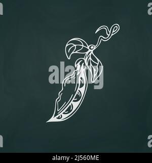 Pea pod thin white lines on a textural dark background - Vector illustration Stock Vector
