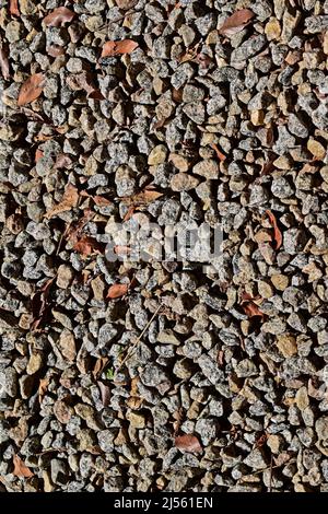 Stone floor in the park Stock Photo