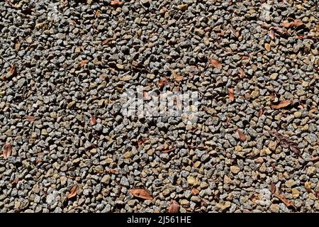 Stone floor in the park Stock Photo
