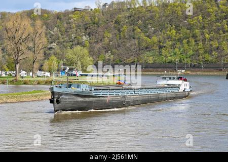 Koblenz, Germany – April 2022: Industrial barge sailing on the Moselle River after leaving the Rhine River. Stock Photo