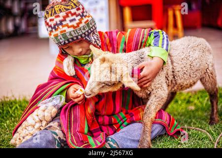 Boy plays with his sheep after feeding him biscuits, they are at a crafts fair in Chincheros Cusco. January 2018 Stock Photo