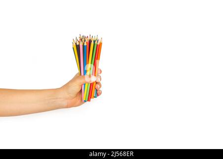 Woman hand holding colored pencils on a white background with copy space Stock Photo