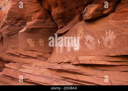 Handprint pictographs near River House Ruin by the San Juan River, Shash Jaa Unit - Bears Ears National Monument, Utah.  This ancient Native American Stock Photo