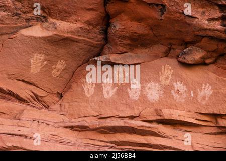 Handprint pictographs near River House Ruin by the San Juan River, Shash Jaa Unit - Bears Ears National Monument, Utah.  This ancient Native American Stock Photo