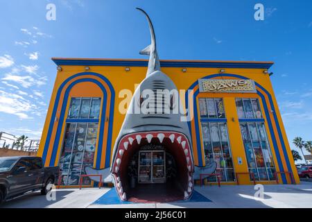 A shark on the facade of a tourist shop in the resort town of South Padre Island, Texas.  The enry is through the shark's mouth. Stock Photo