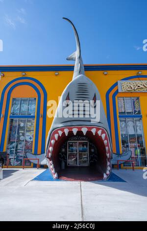 A shark on the facade of a tourist shop in the resort town of South Padre Island, Texas.  The enry is through the shark's mouth. Stock Photo