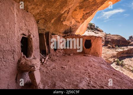 Cliff dwellings in the Moon House Ruin complex on Cedar Mesa, Bears Ears National Monument, Utah. The Moon House Ruin complex is a group of ancient An Stock Photo