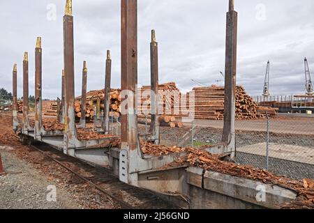 In Coos Bay, Oregon,  thousands of tons of Pacific Northwest hemlock and fir logs bound for Hiroshima, Japan, wait to be loaded onto a ship for transport to Asia. Stock Photo