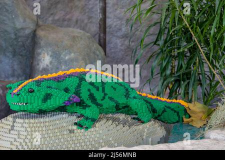 the lego made Diplocaulus model. It is an extinct genus of lepospondyl amphibians which lived from the Late Carboniferous Stock Photo
