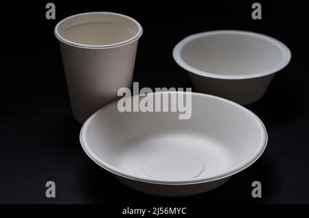 Paper dish and bowl with the disposable spoons Stock Photo