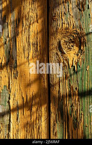 Yellow wodden planks covered with old flaking paint and visible wood patches, aged wodden wall surface with shades cested on it making a good Stock Photo