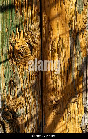 Yellow wodden planks covered with old flaking paint and visible wood patches, aged wodden wall surface with shades cested on it making a good Stock Photo
