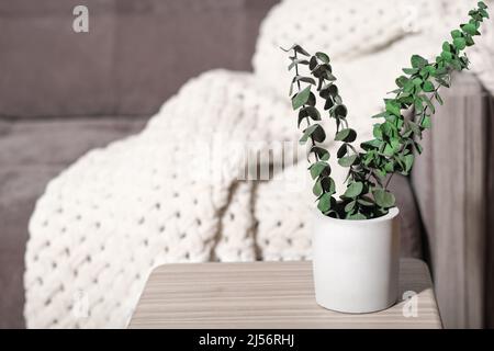 dry eucalyptus branches in concrete vase on a table in living room. home decor, morning sunlight. simple modern house decoration, minimal style Stock Photo