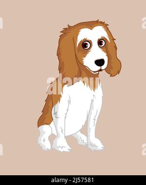 Cavalier King Charles Spaniel dog sitting illustration Stock Vector
