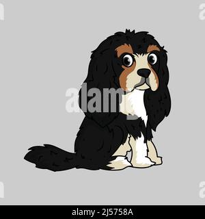Cavalier King Charles Spaniel dog illustration Stock Vector