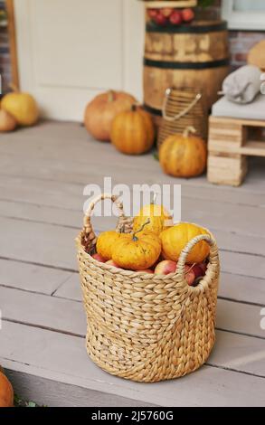 Autumn harvest terrace background. Halloween. Country. Pumpkins and flowers. Vacation home. Thanksgiving Day Stock Photo
