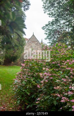 A glimpse of the romantic ruins of Nymans, destroyed by fire in 1947, and now surrounded by a large garden: West Sussex, UK Stock Photo