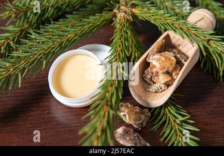 Spruce tree Picea abies herbal medicinal resin lotion in jar and pieces on wood spoon, decorated with fresh spruce branches. Stock Photo