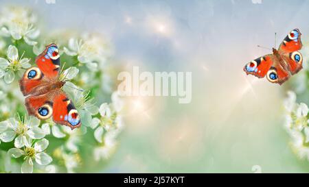 Unfocused, tinted background with fractal highlights, flowering branches of fruit trees and colorful butterflies. Artistic design, selective focus Stock Photo