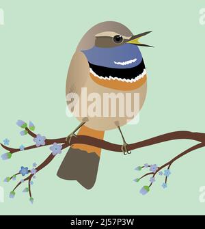 A very cute Bluethroat bird in the shape of an egg. Soft green background. The bird sits on a branch with blue blossoms. Stock Vector