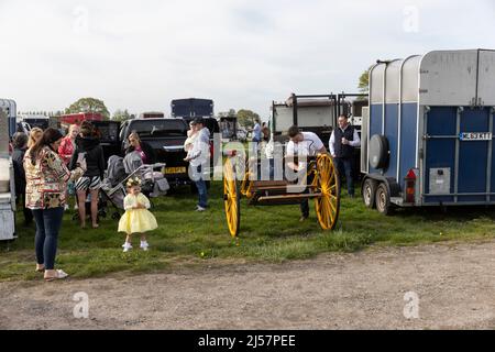 London Harness Horse Parade, South of England Centre, Ardingly West Sussex, UK Stock Photo