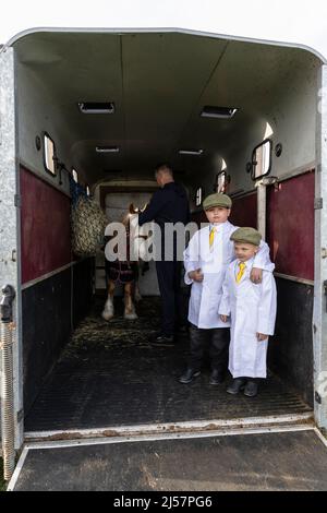 London Harness Horse Parade, South of England Centre, Ardingly West Sussex, UK Stock Photo